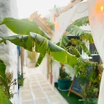 Badehan Aparthotel Çeşme